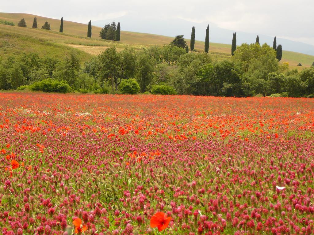 Agriturismo Casalpiano بيينْسا المظهر الخارجي الصورة