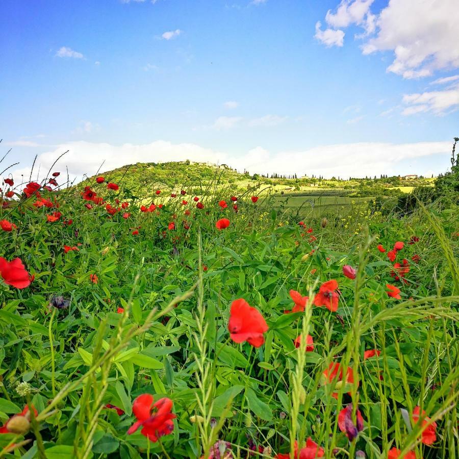 Agriturismo Casalpiano بيينْسا المظهر الخارجي الصورة